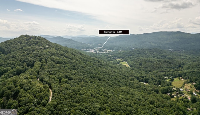 254 Rue Ln, Clayton, GA 30525 - mountain view featuring a forest
