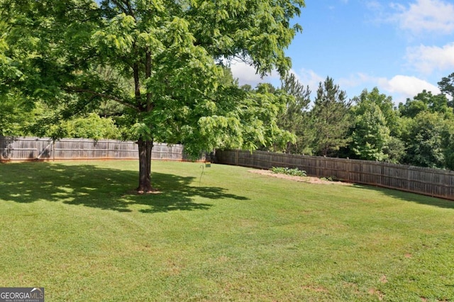 174 Randall Dr, Rockmart, GA 30153 - view of yard