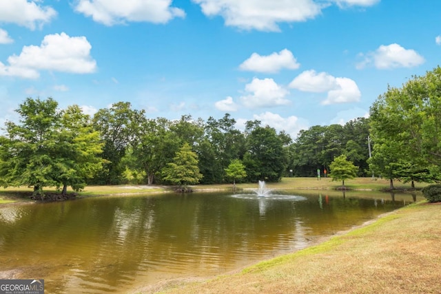 86 Crestview Dr, Guyton, GA 31312 - water view