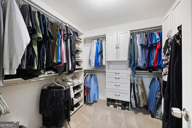 784 Crestworth Xing, Powder Springs, GA 30127 - walk in closet with carpet floors