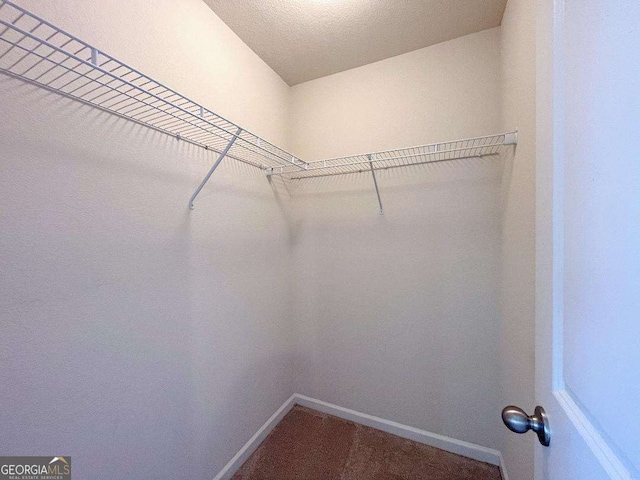 279 Darling Ln, Pendergrass, GA 30567 - view of spacious closet