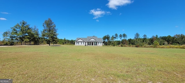 117 Lovett Scott Rd, Adrian, GA 31002 - view of grassy yard