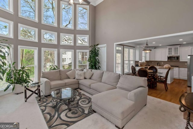 5810 Old Mill Trce, Lithonia, GA 30038 - living area with a high ceiling and light wood-type flooring