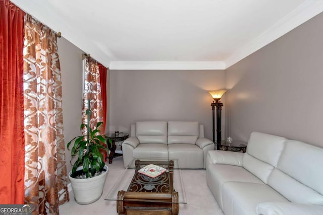 5810 Old Mill Trce, Lithonia, GA 30038 - living area with ornamental molding