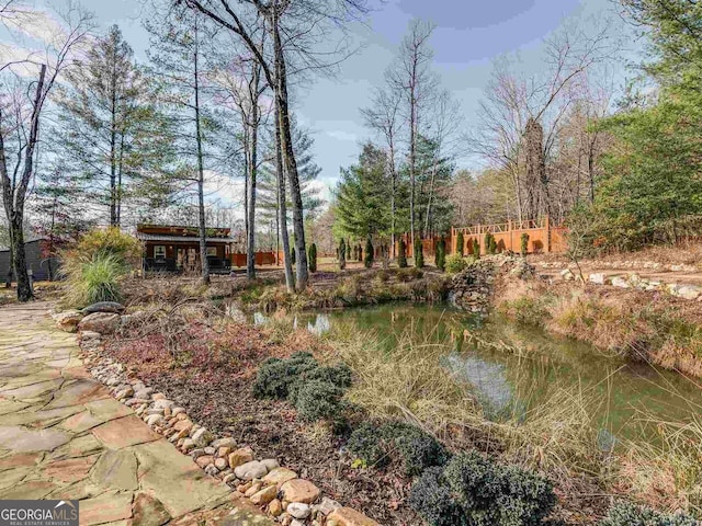 721 Dial Rd, Blue Ridge, GA 30513 - view of yard