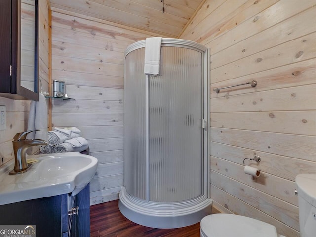 721 Dial Rd, Blue Ridge, GA 30513 - full bath featuring wood walls, a stall shower, vanity, toilet, and wood finished floors
