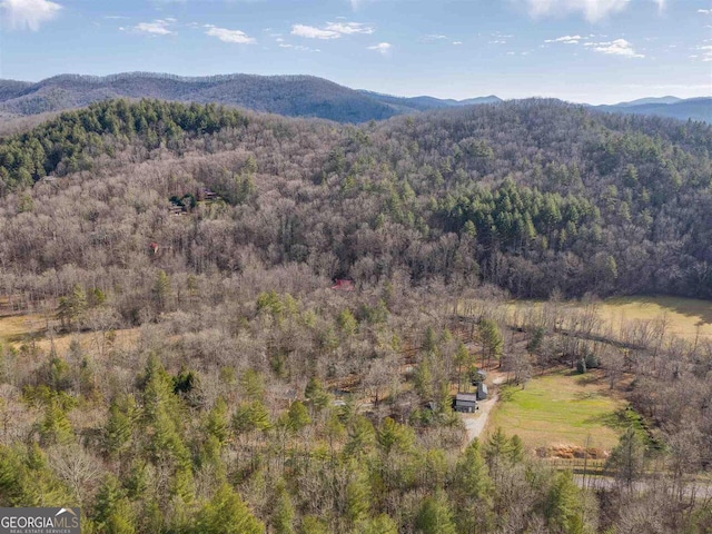 721 Dial Rd, Blue Ridge, GA 30513 - view of mountain backdrop with a forest