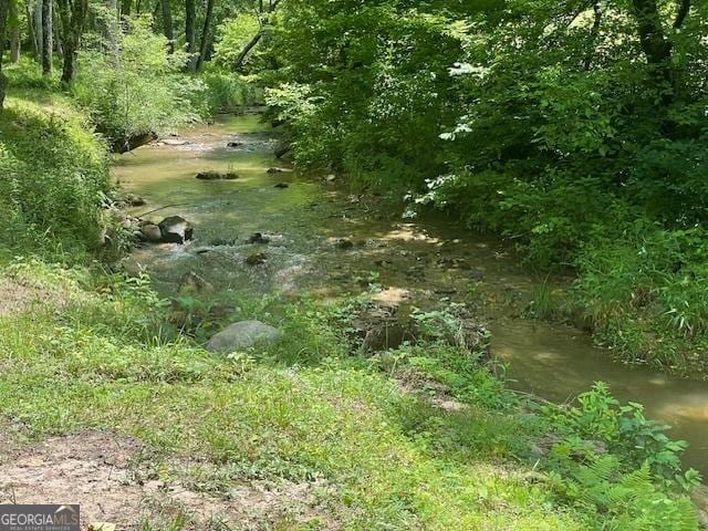 721 Dial Rd, Blue Ridge, GA 30513 - view of wooded area
