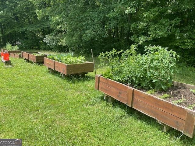 721 Dial Rd, Blue Ridge, GA 30513 - view of grassy yard with a vegetable garden