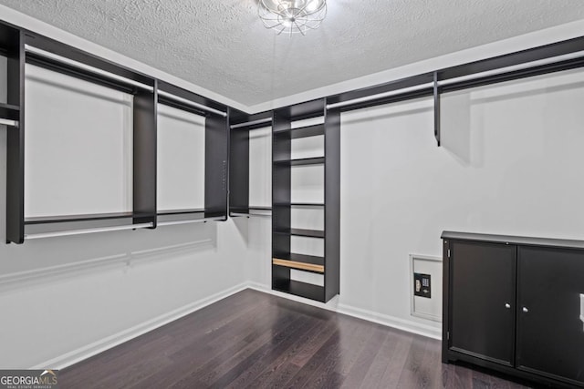 125 Sable Pointe Dr, Milton, GA 30004 - spacious closet with dark wood-type flooring