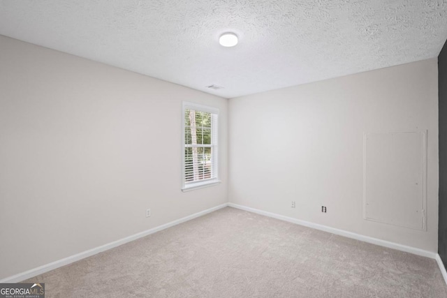 125 Sable Pointe Dr, Milton, GA 30004 - empty room with light carpet, a textured ceiling, and baseboards