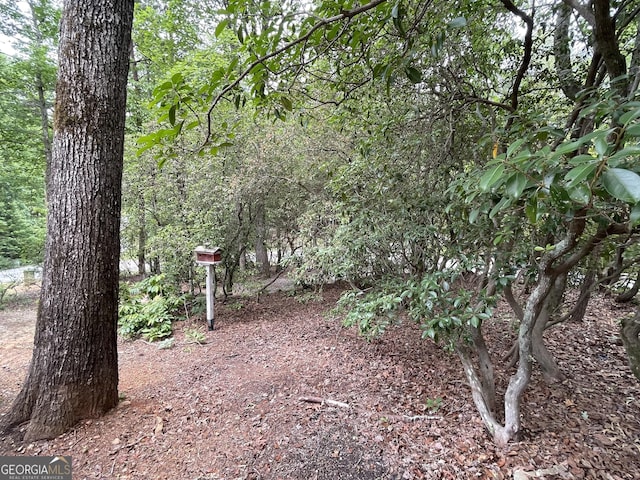 22 Nob Hill Rdg, Cleveland, GA 30528 - view of yard