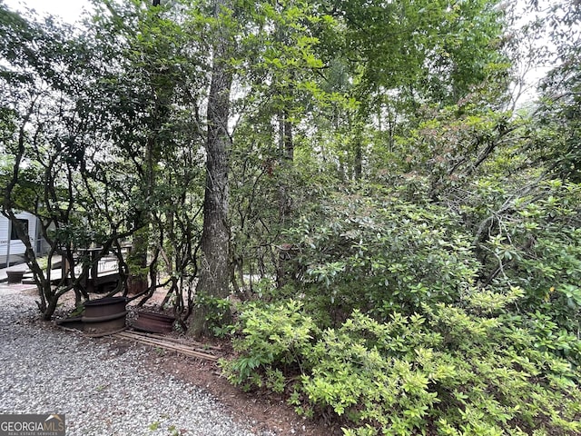 22 Nob Hill Rdg, Cleveland, GA 30528 - view of yard