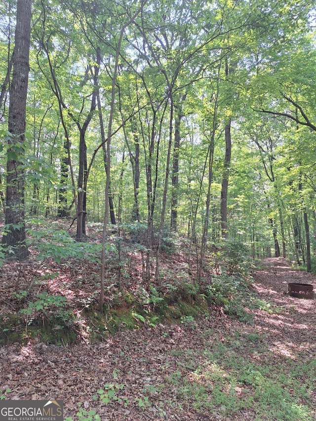 0 Sun Rock Mountain Trce, Blue Ridge, GA 30513