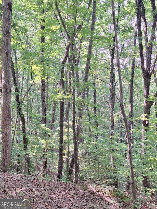 0 Sun Rock Mountain Trce, Blue Ridge, GA 30513