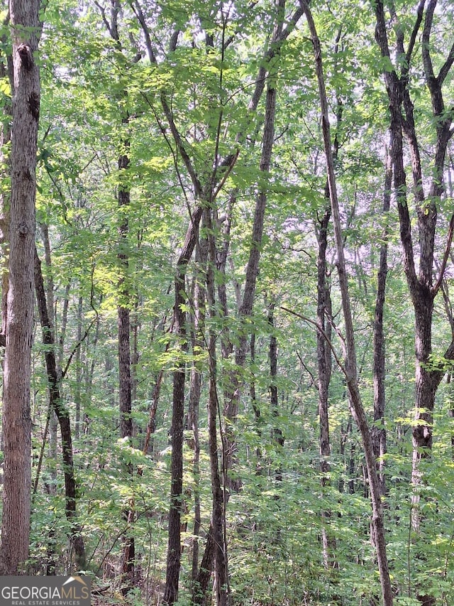 0 Sun Rock Mountain Trce, Blue Ridge, GA 30513