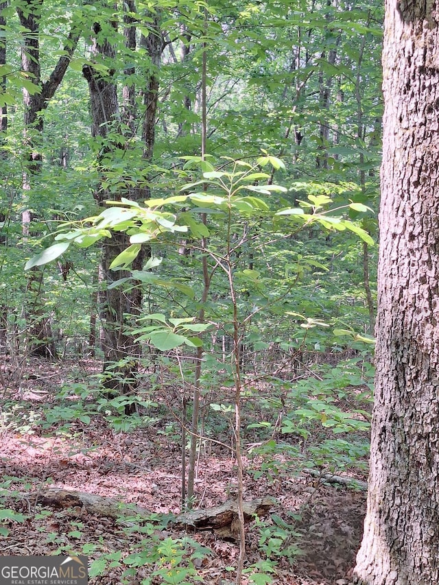 0 Sun Rock Mountain Trce, Blue Ridge, GA 30513