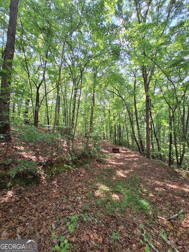 0 Sun Rock Mountain Trce, Blue Ridge, GA 30513