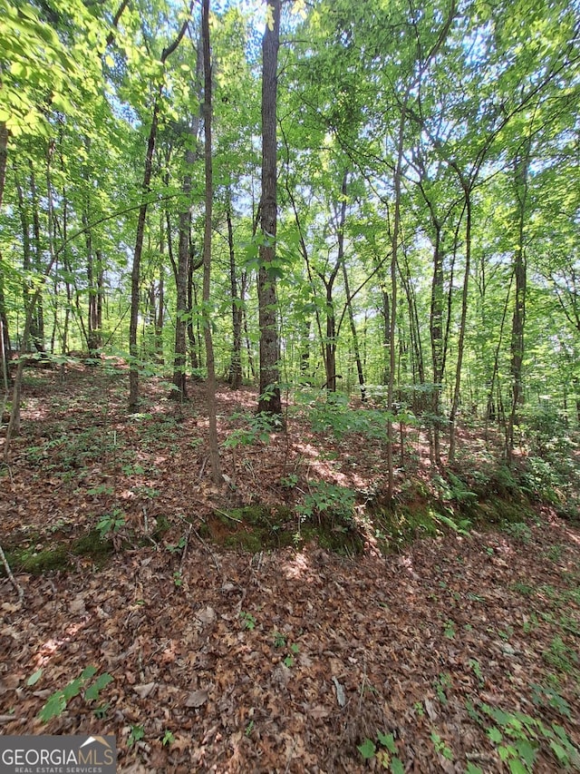 0 Sun Rock Mountain Trce, Blue Ridge, GA 30513