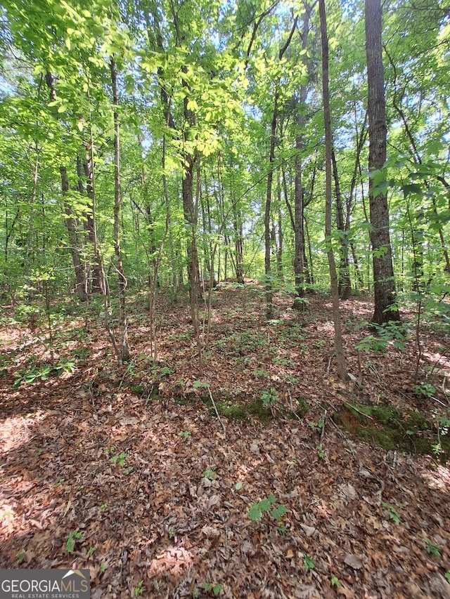 0 Sun Rock Mountain Trce, Blue Ridge, GA 30513