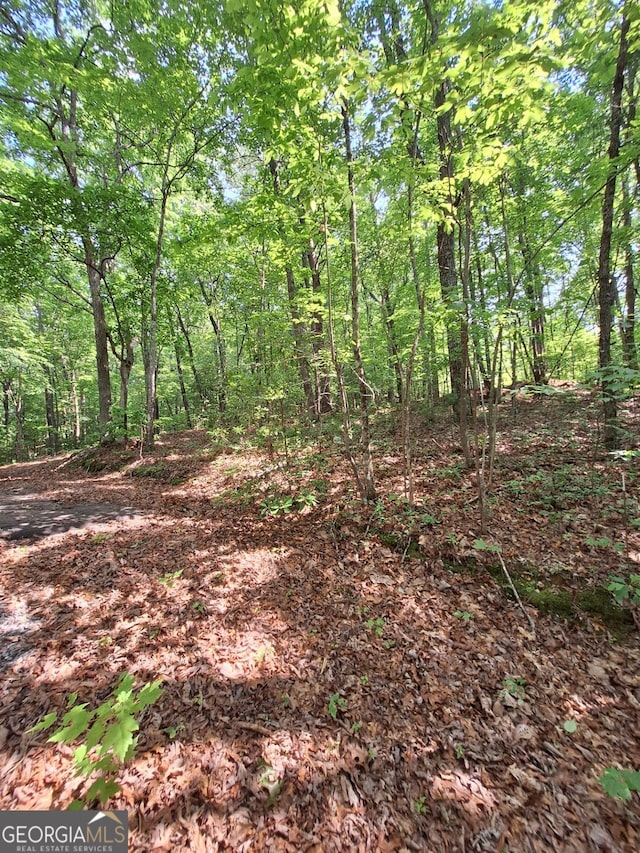 0 Sun Rock Mountain Trce, Blue Ridge, GA 30513