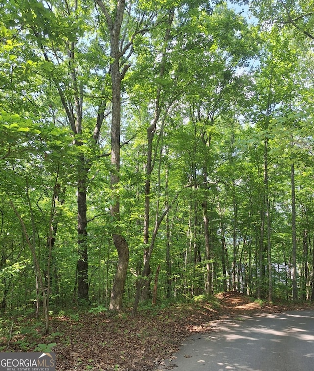0 Sun Rock Mountain Trce, Blue Ridge, GA 30513