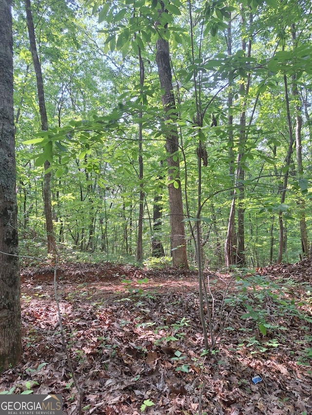 0 Sun Rock Mountain Trce, Blue Ridge, GA 30513