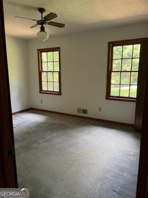 304 Tunis Rd, Mcdonough, GA 30253 - carpeted empty room featuring healthy amount of natural light, baseboards, and ceiling fan