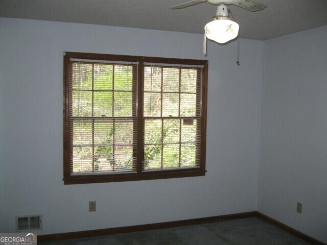 304 Tunis Rd, Mcdonough, GA 30253 - unfurnished room with plenty of natural light and a ceiling fan