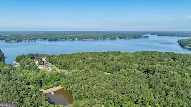 1650 Vintage Club Dr, Greensboro, GA 30642 - aerial view of a heavily wooded area and a nearby body of water