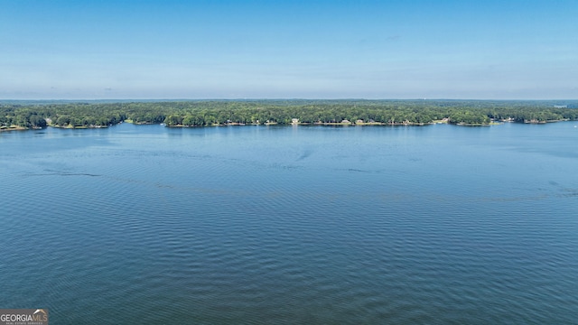 1650 Vintage Club Dr, Greensboro, GA 30642 - water view