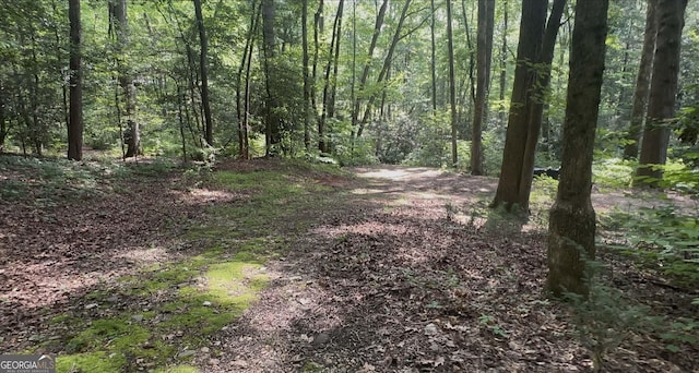 1315 Chimney Mountain Flats Trl, Clarkesville, GA 30523 - view of tree filled area