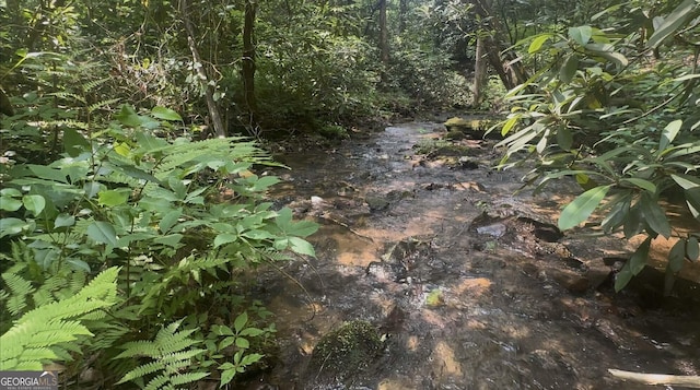 1315 Chimney Mountain Flats Trl, Clarkesville, GA 30523 - view of nature