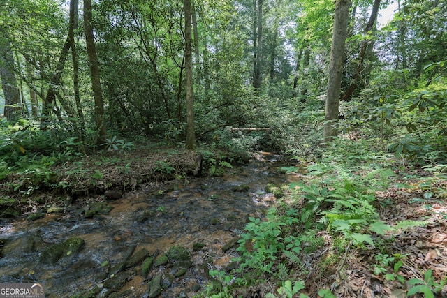 1315 Chimney Mountain Flats Trl, Clarkesville, GA 30523 - view of tree filled area