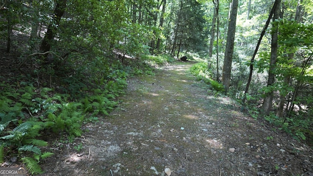 1315 Chimney Mountain Flats Trl, Clarkesville, GA 30523 - view of street with a wooded view