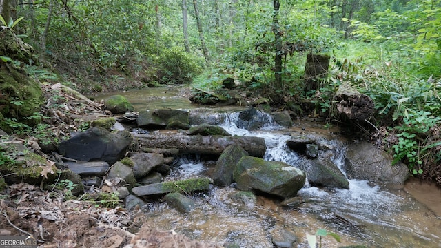 1315 Chimney Mountain Flats Trl, Clarkesville, GA 30523 - view of woods