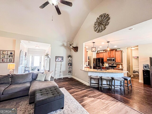 125 Kayla Ct, Locust Grove, GA 30248 - living area featuring dark wood-style flooring, a ceiling fan, baseboards, ornamental molding, and high vaulted ceiling