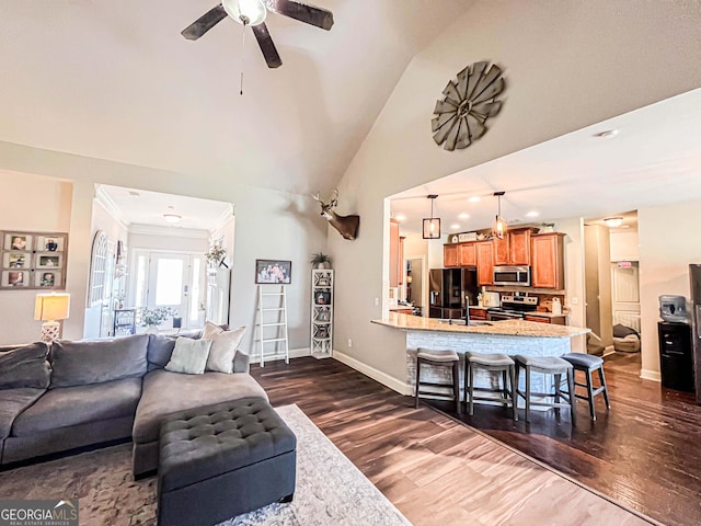 125 Kayla Ct, Locust Grove, GA 30248 - living area featuring dark wood-style flooring, a ceiling fan, baseboards, ornamental molding, and high vaulted ceiling