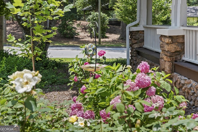 3119 Conyers St SE, Covington, GA 30014 - view of yard