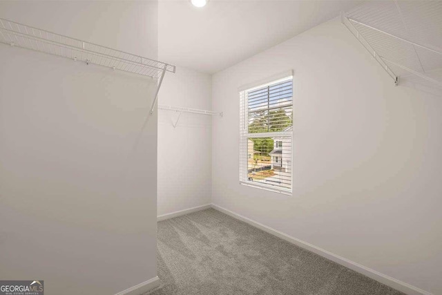 11884 Aukerman Way, Hampton, GA 30228 - spacious closet featuring light colored carpet