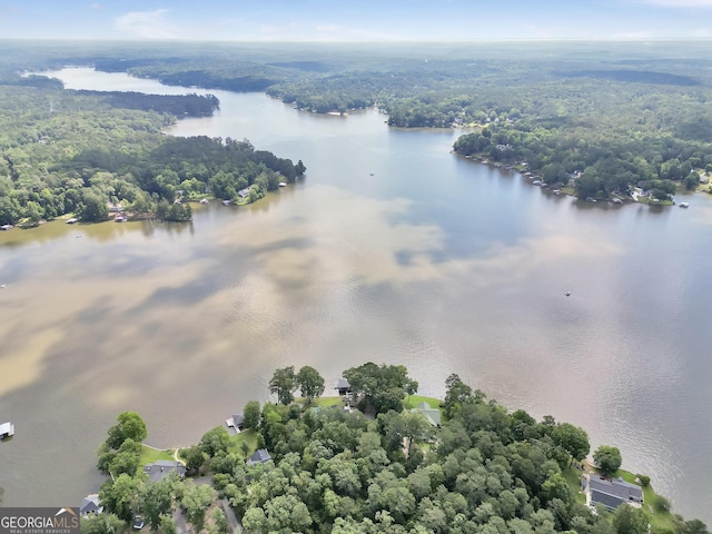 172B Hummingbird Ln, Jackson, GA 30233 - drone / aerial view of a nearby body of water and a forest