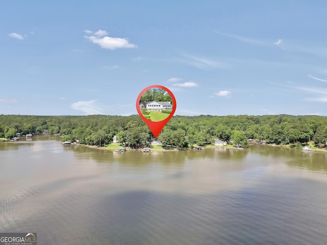 172B Hummingbird Ln, Jackson, GA 30233 - water view with a forest
