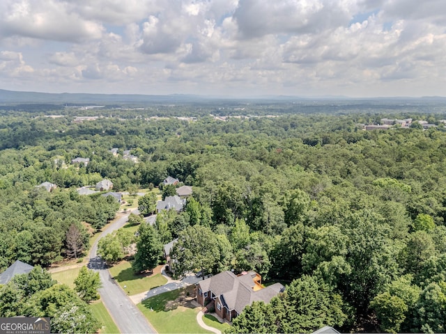 31 Bluff Mountain Dr SW, Rome, GA 30165 - drone / aerial view of a heavily wooded area