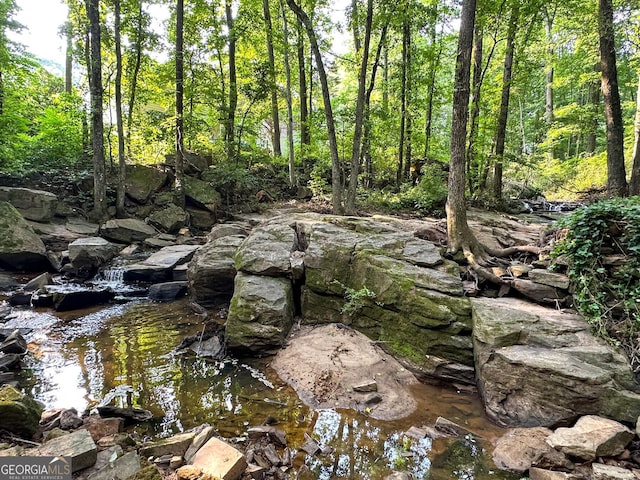 2355 Brick Mill Ct, Duluth, GA 30096 - view of undeveloped land