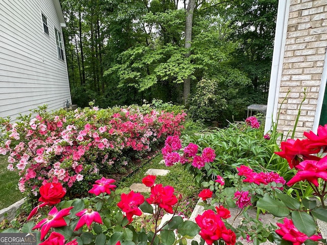 2355 Brick Mill Ct, Duluth, GA 30096 - view of yard