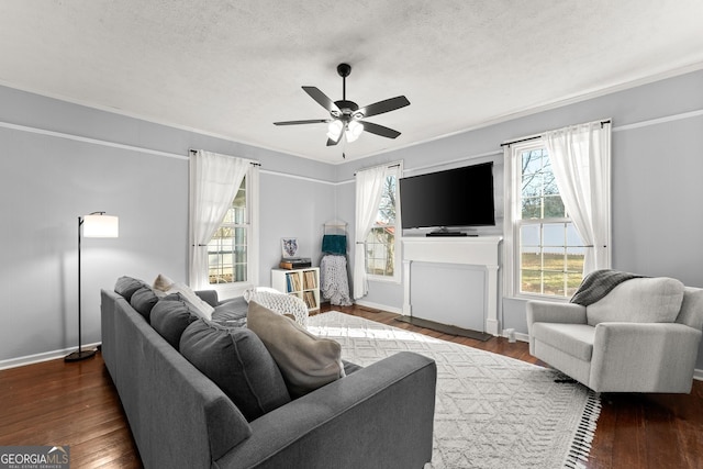 209 Athens St, Jefferson, GA 30549 - living room featuring plenty of natural light, ceiling fan, wood finished floors, and a textured ceiling