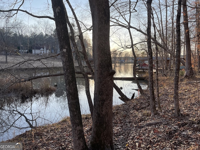 0 Village, Sparta, GA 31087