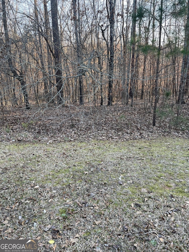 0 Village, Sparta, GA 31087