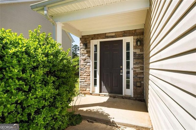 11151 Aliyah Dr, Hampton, GA 30228 - view of exterior entry featuring stone siding