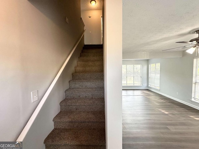 4320 Catalpa Way, Ellenwood, GA 30294 - stairs with wood finished floors, baseboards, a ceiling fan, and a textured ceiling